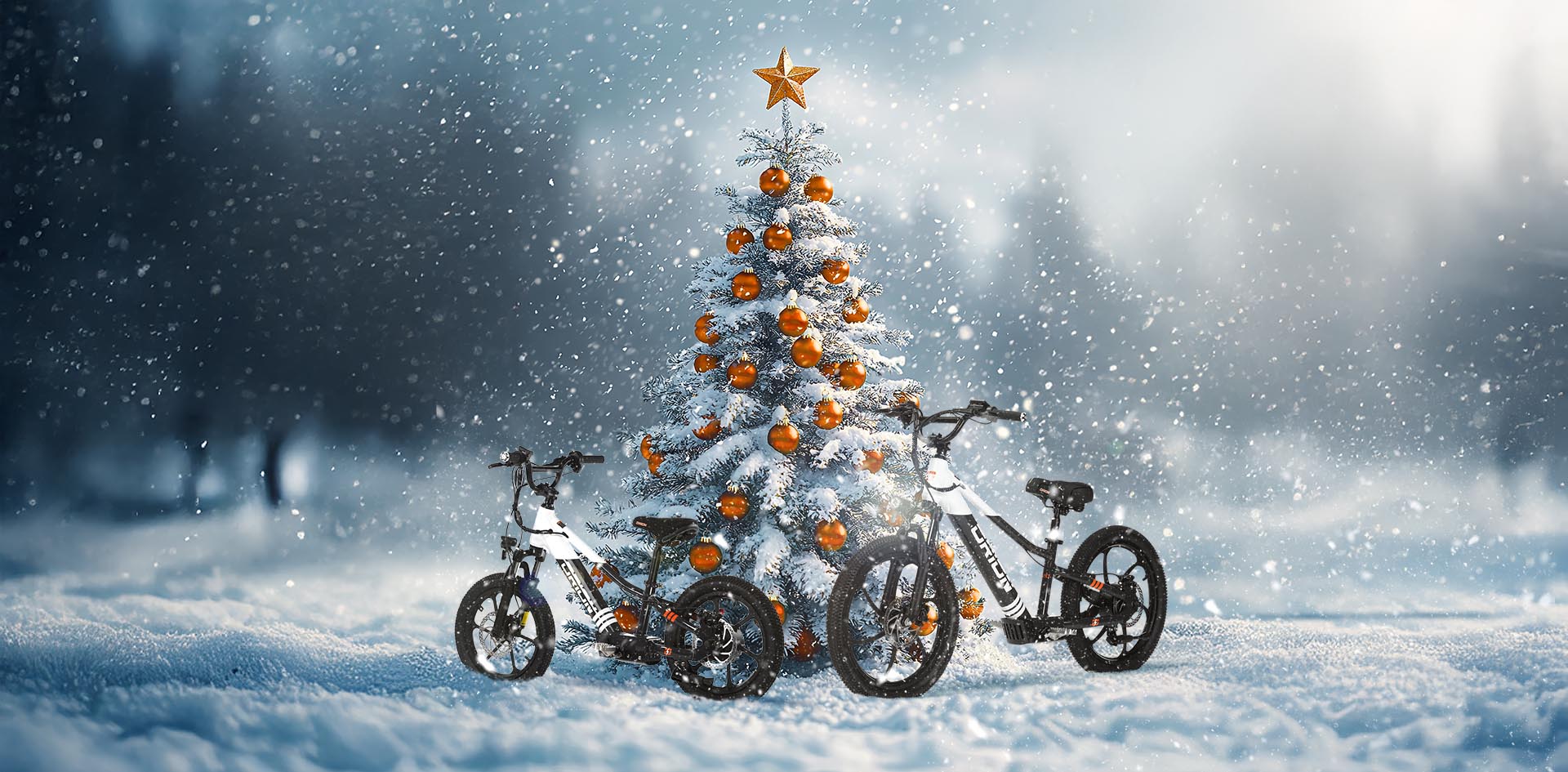 The Ultimate Christmas Gift: Orion Balance Bikes