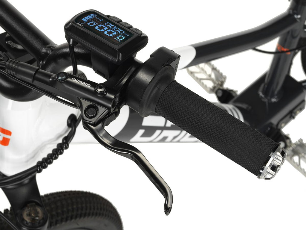 2024 Orion e20x – 20″ Wheel 500W 48V – Deluxe Electric Balance Bike