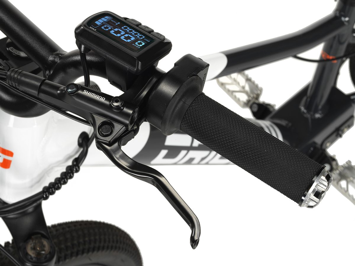 2024 Orion e20x – 20″ Wheel 500W 48V – Deluxe Electric Balance Bike