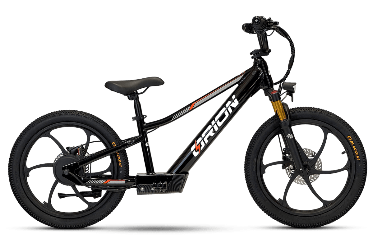2025 Orion e20x – 20″ Wheel 500W 48V – Deluxe Electric Balance Bike