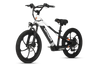 2024 Orion e20x – 20″ Wheel 500W 48V – Deluxe Electric Balance Bike