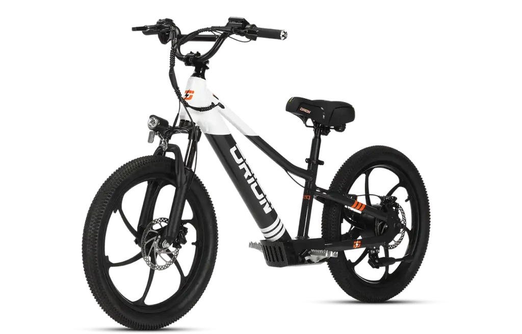 2024 Orion e20x – 20″ Wheel 500W 48V – Deluxe Electric Balance Bike
