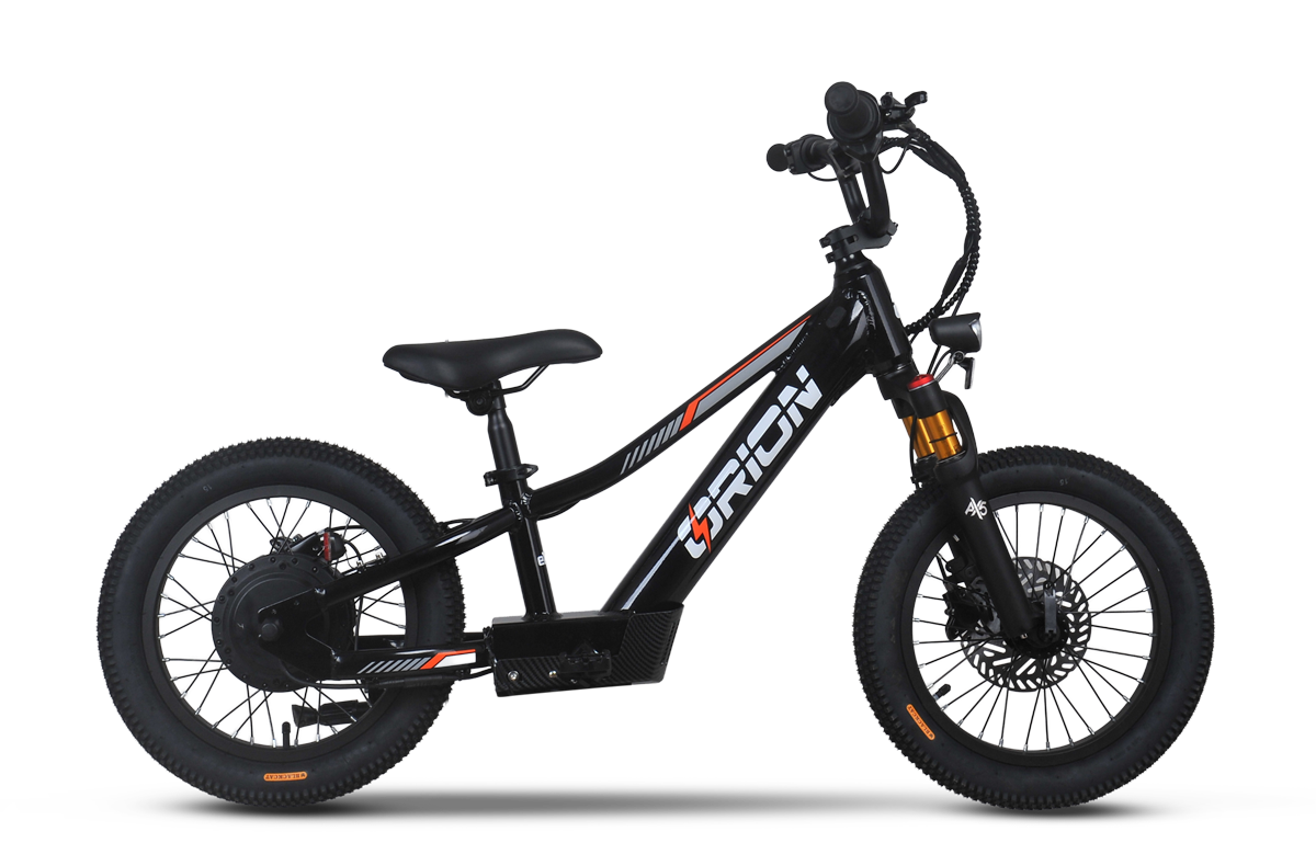 Orion e16x 16inch 500W 36V Electric Balance Bike