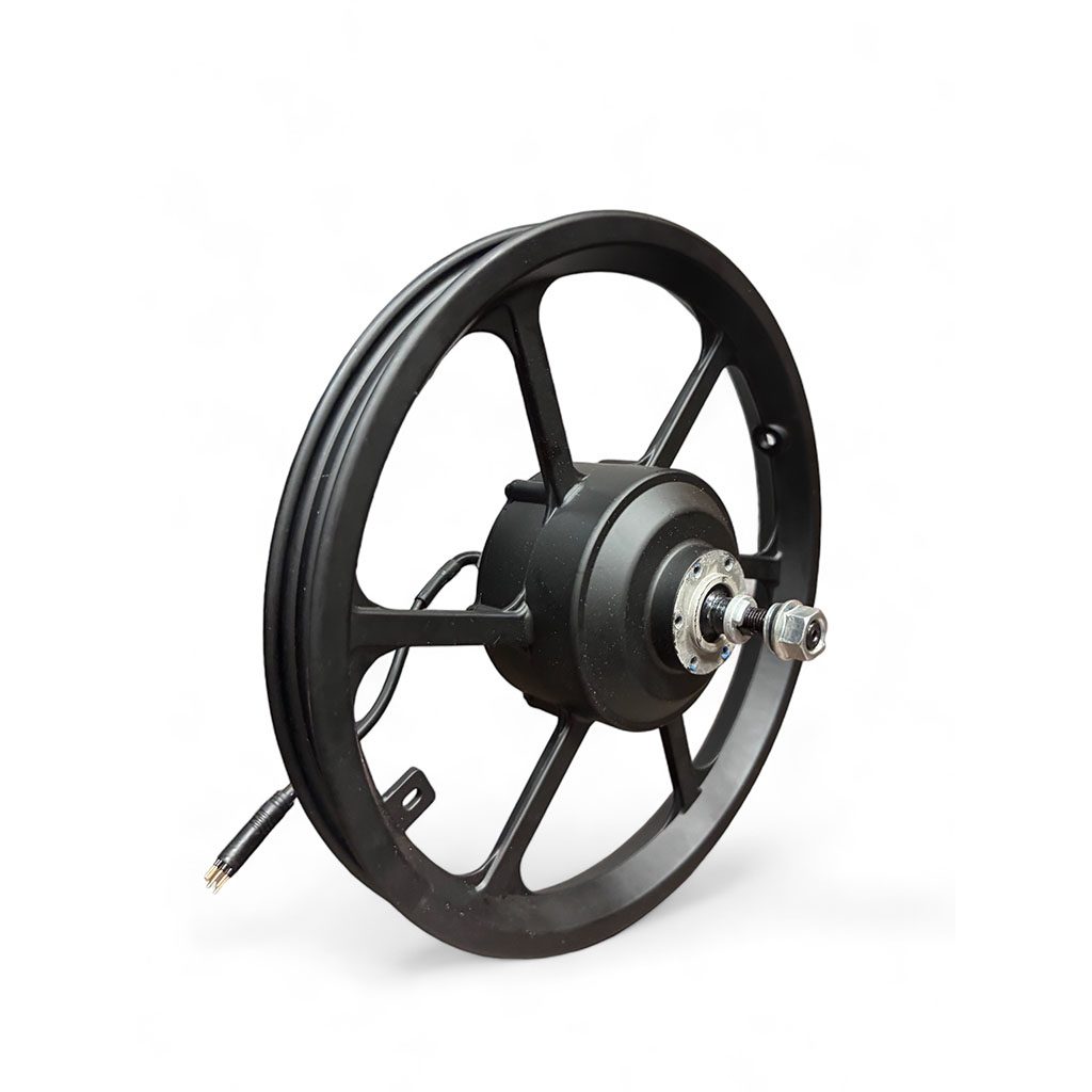 e20 Rear Motor Hub & Wheel Assembly 500W 48V