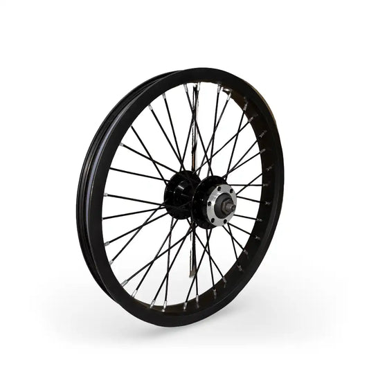 e16 Spoked Front Wheel