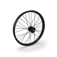 e20 Spoked Front Wheel