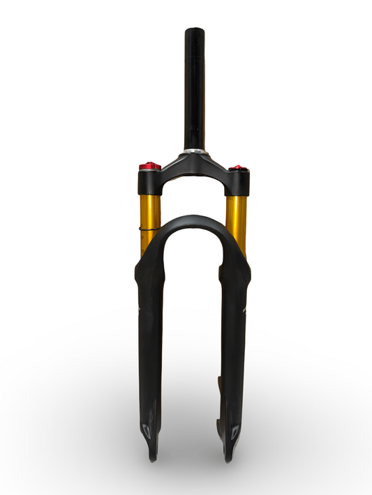 Orion e24X electric balance bike air form
