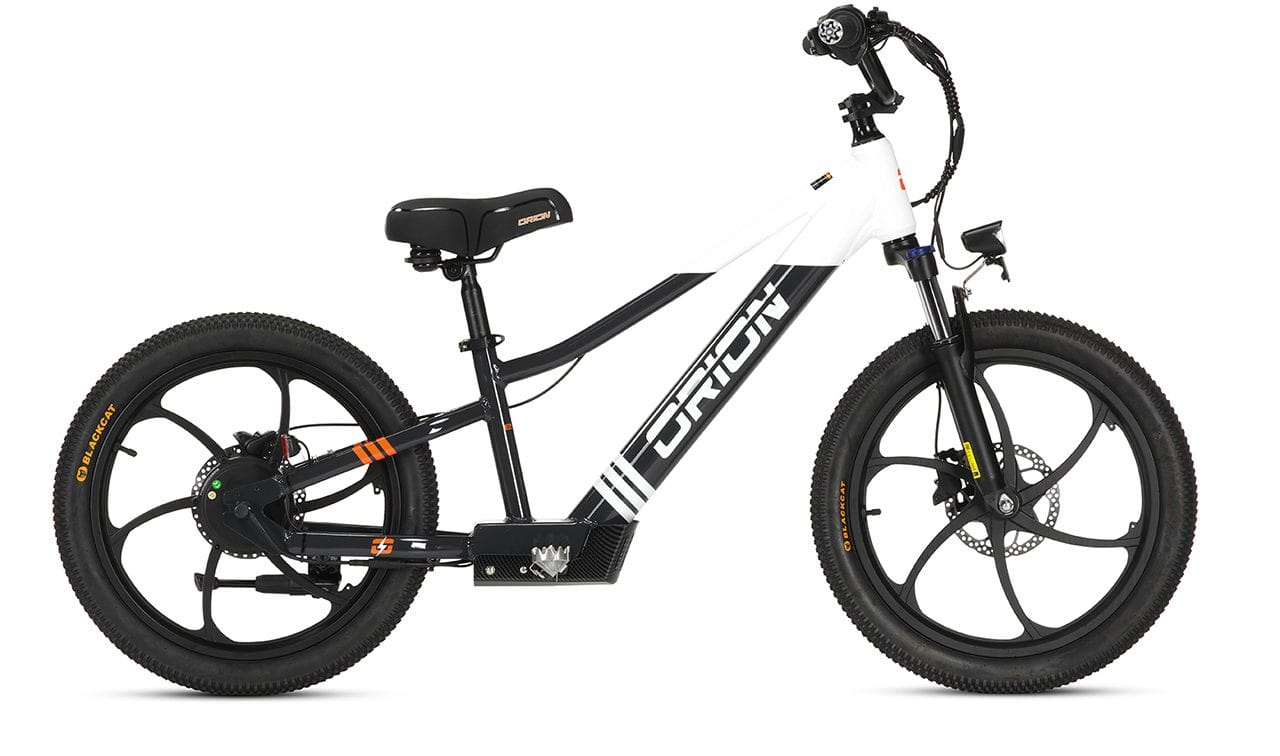 2024 Orion e20x – 20″ Wheel 500W 48V – Deluxe Electric Balance Bike