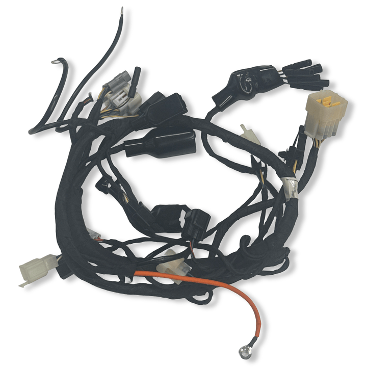 MAIN HARNESS