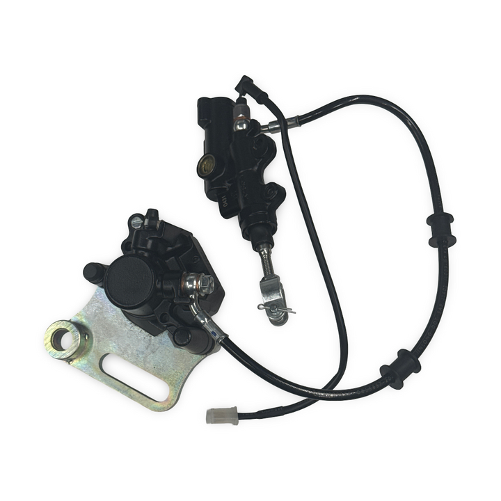 Rear Brake Assembly