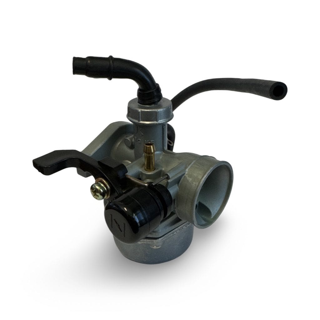 Carburetor PZ19