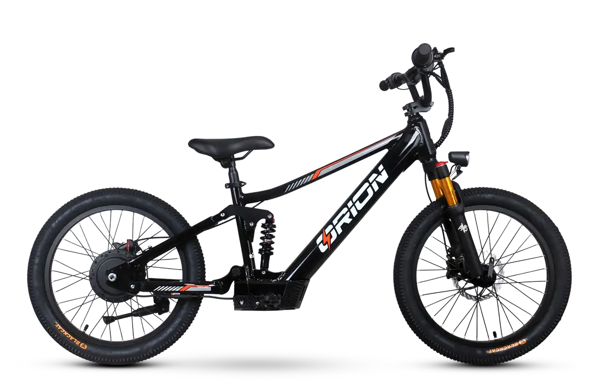 Orion e20x-FS - FULL SUSPENSION - 20" Spoked Wheel 500W 48V - Deluxe Electric Balance Bike